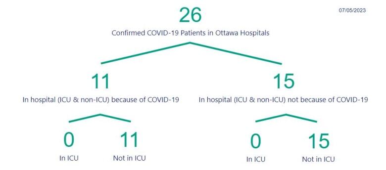 A chart showing the number of people in Ottawa hospitals with COVID.