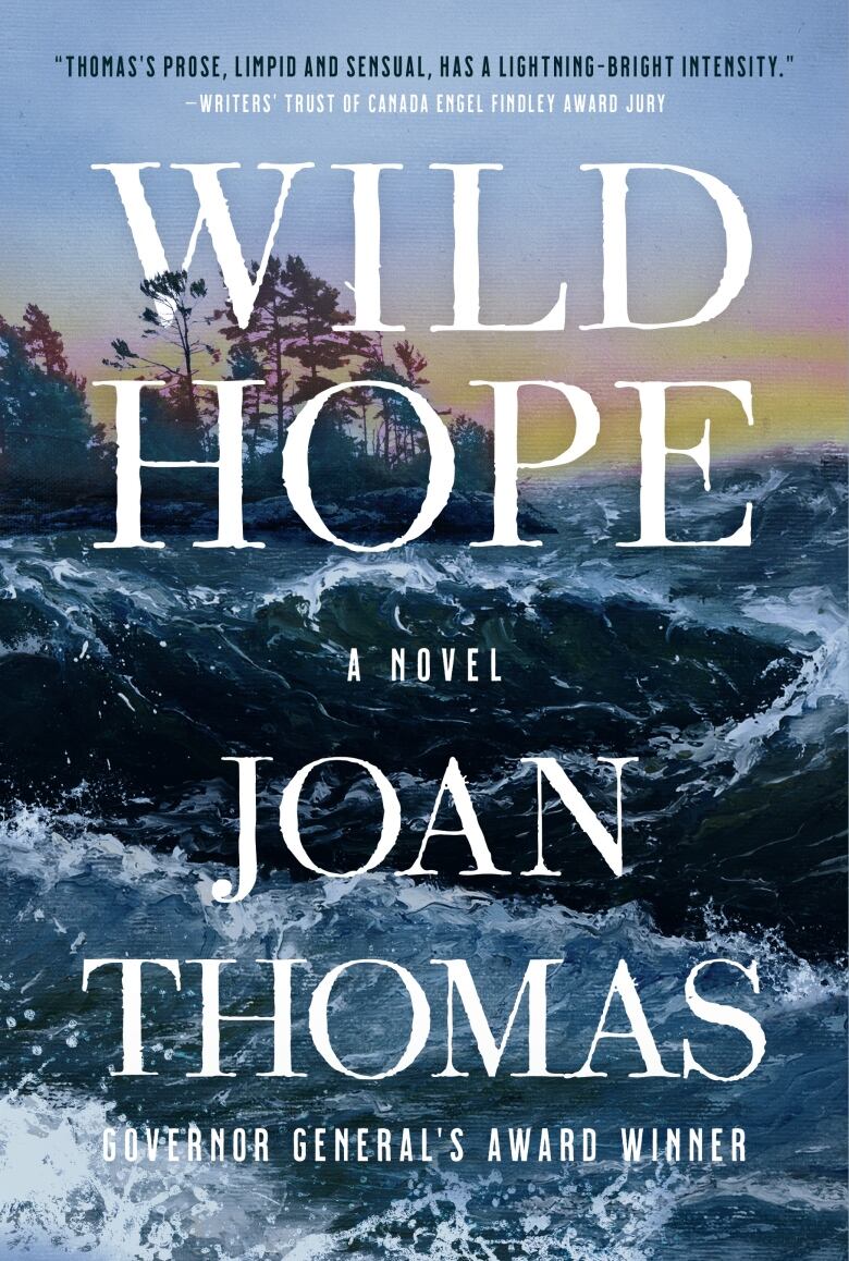 A book cover with an image of crashing waves and the words Wild Hope by Joan Thomas written on it.