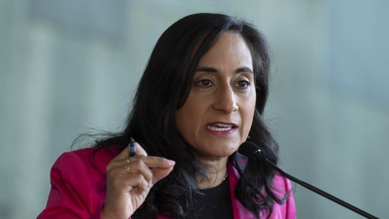 A close up photograph of National Defence Minister Anita Anand speaking into a microphone. 