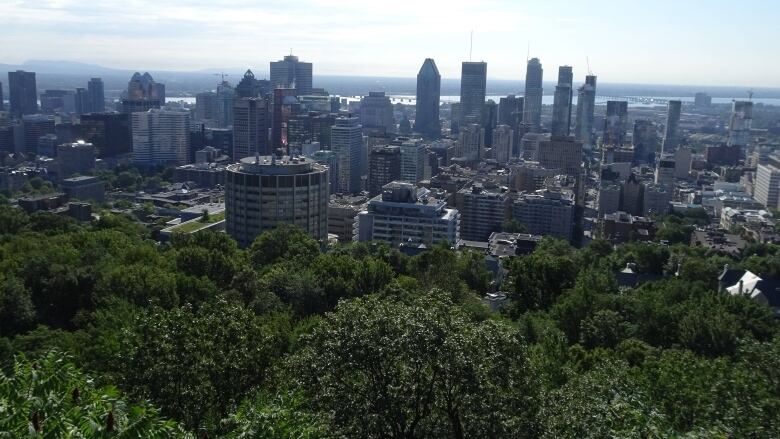 Trees in foreground, skyscrapers in background.