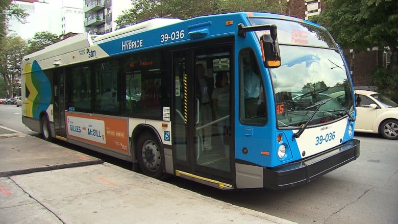 Shiny new blue and white bus.