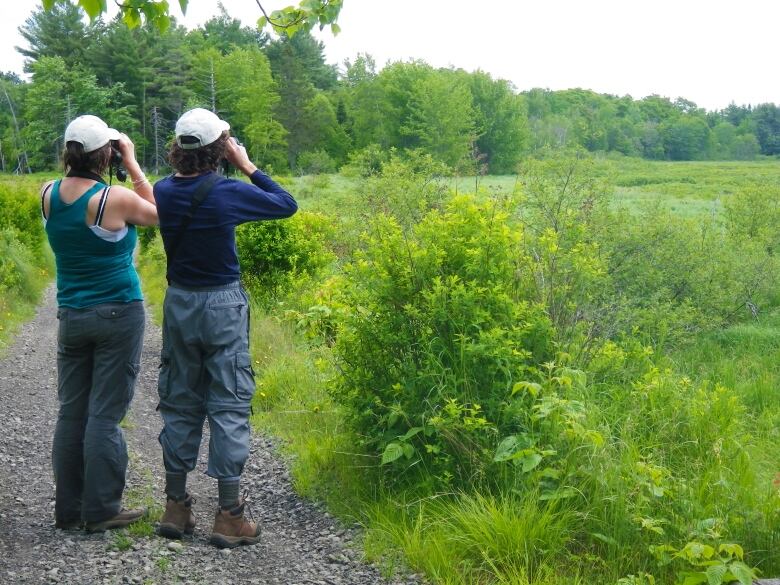 Two people observing biodiverse donated land with binoculars 