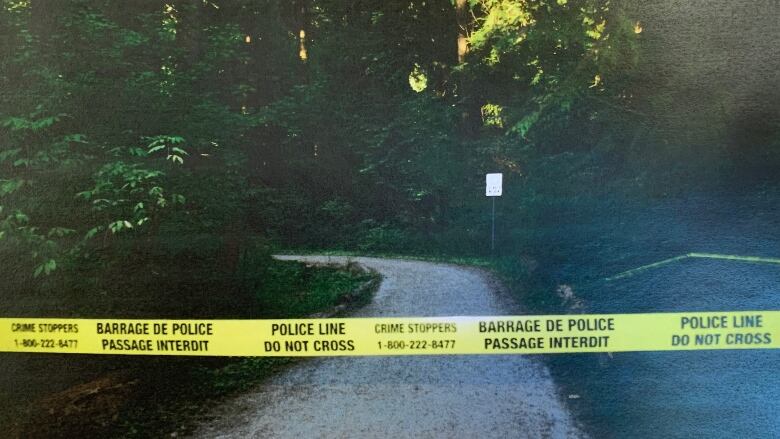 Yellow police tape is strung across a path through the forest.