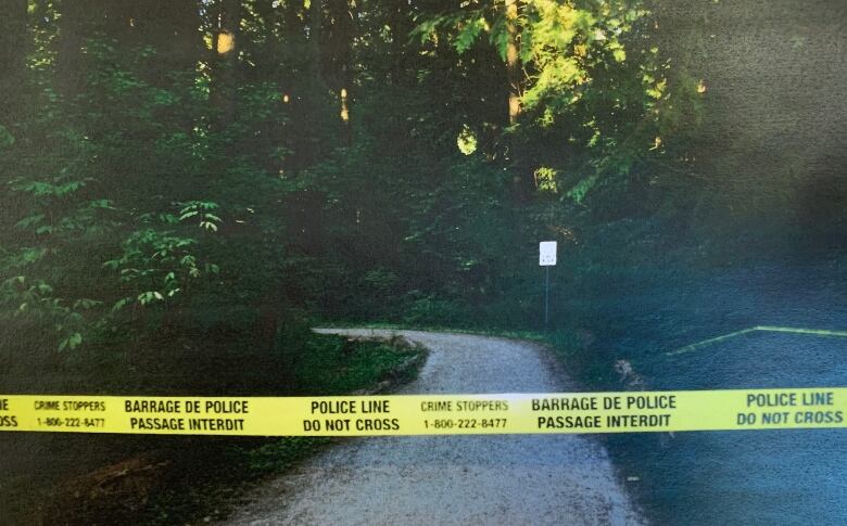 Yellow police tape is strung across a path through the forest.