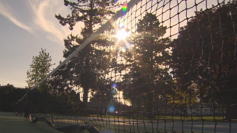 a pickleball court net and the sun shining through the trees