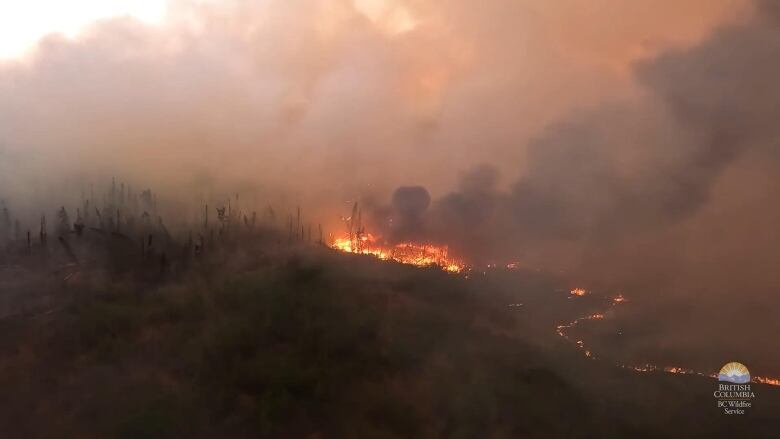 A wildfire casts a red pall reflected by clouds of smoke rising over a vast forest.