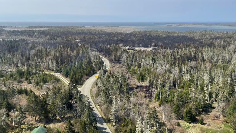 An aerial view of a wildfire is shown.