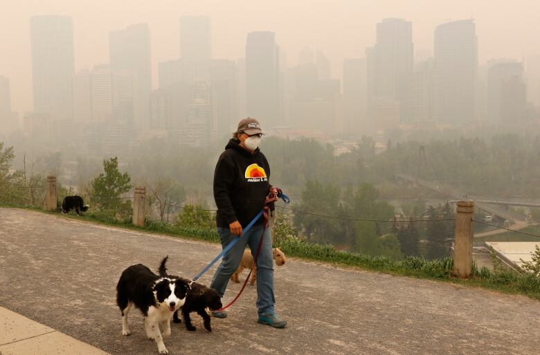 A person walks a dog with a hazy cityscape in the background.