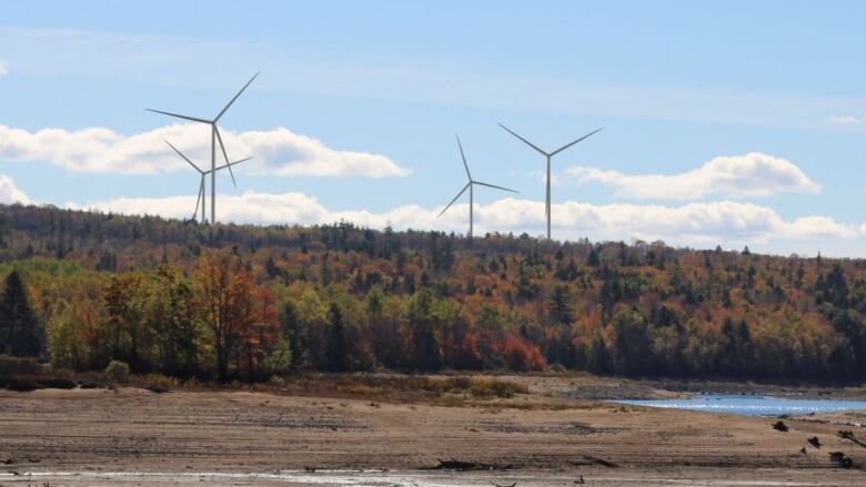 A rendering shows what turbines would look like above a treed horizon.