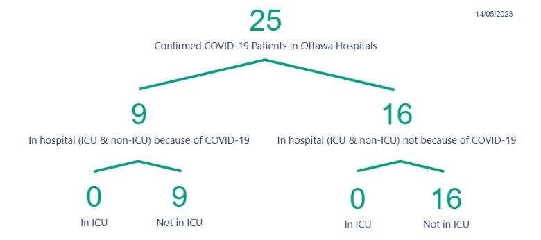 A chart showing the number of people in Ottawa hospitals with COVID.