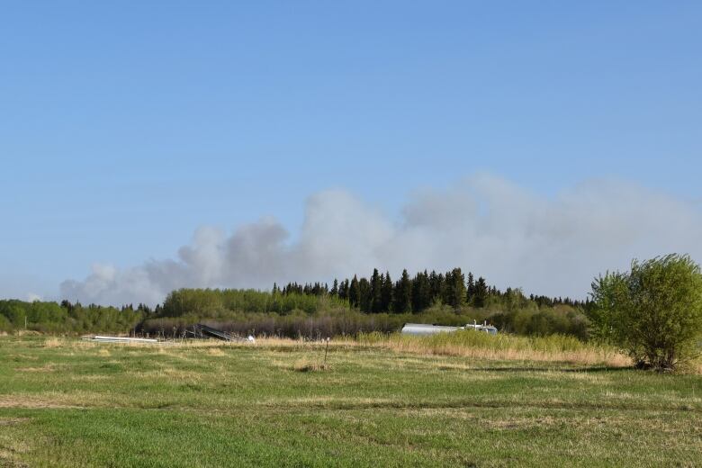 Grass, trees, smoke. 