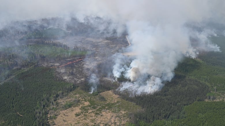 A wide shot of a wildfire.