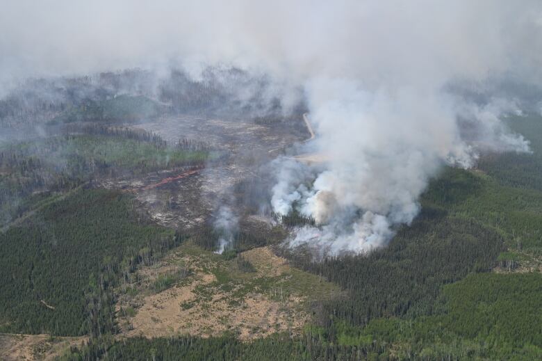 A wide shot of a wildfire.