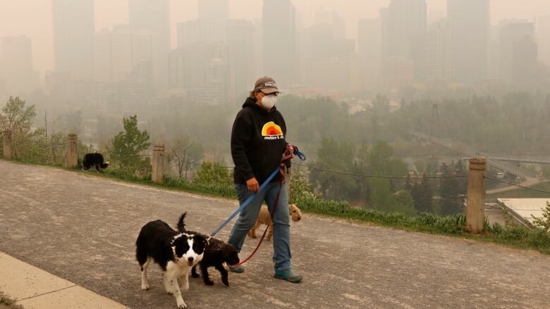 A person wears a mask while walking their dogs