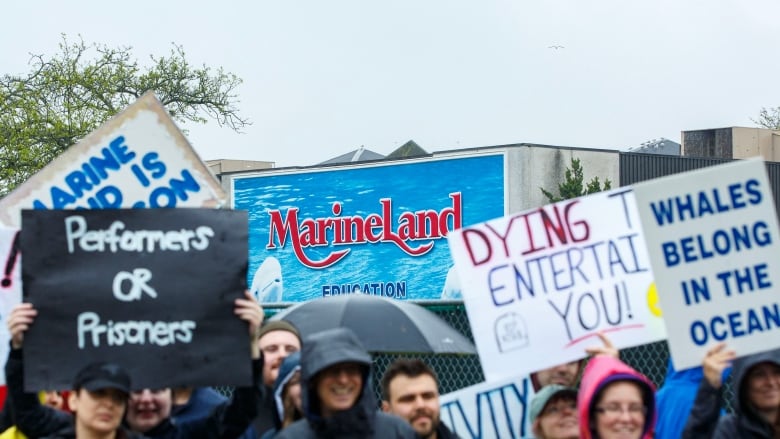 Protestors in front of Marineland. 