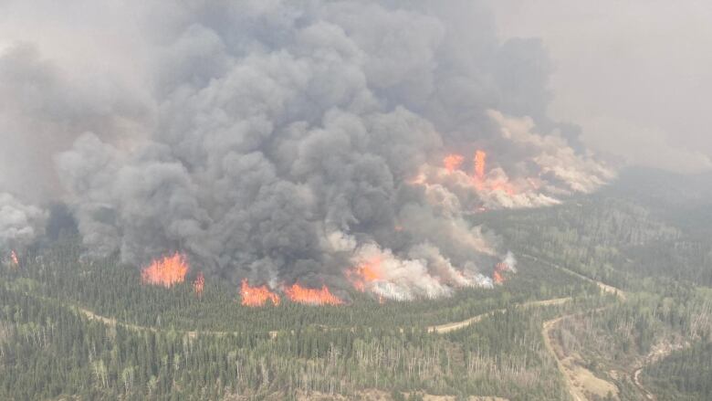 A large wildfire burns in a forested environment.