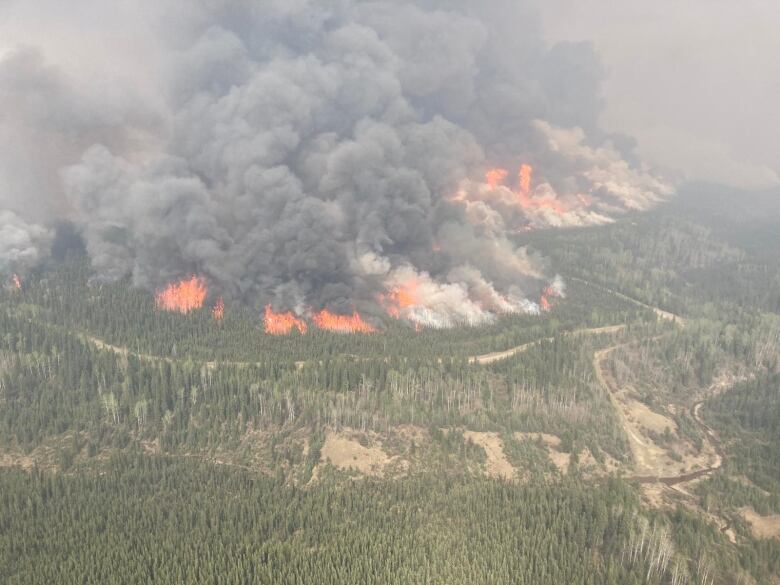 A large wildfire burns in a forested environment.