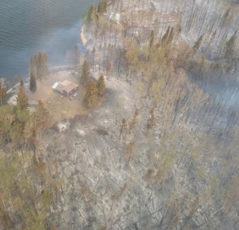 Aerial view shows cabin still standing amid a burnt forest.