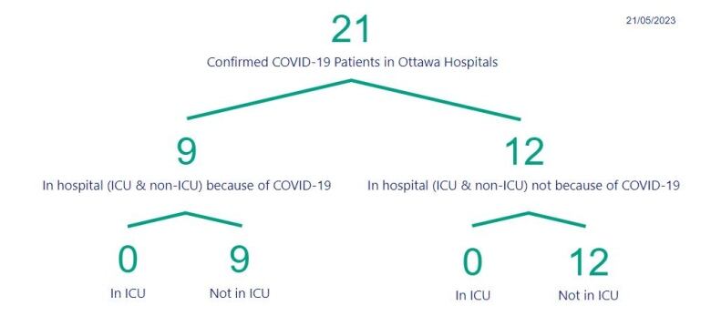 A chart showing the number of people in Ottawa hospitals with COVID.