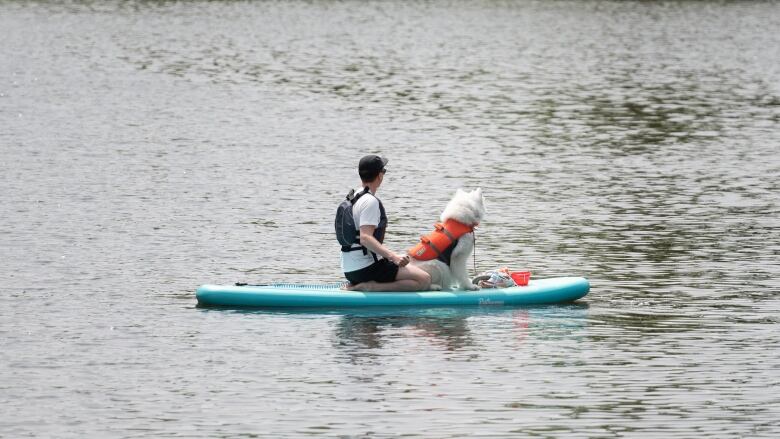 A human and a dog both wear life jackets as they sit on a paddleboard on a body of water.