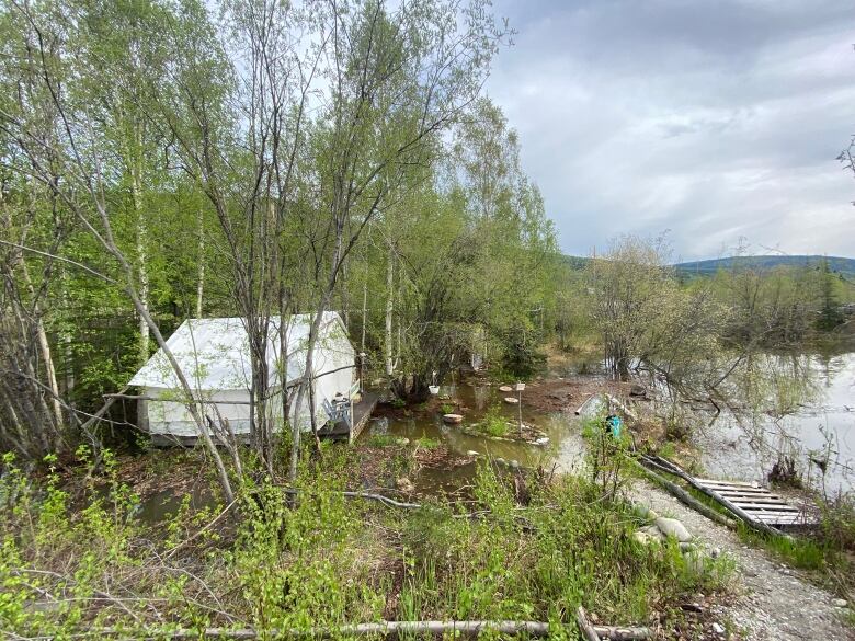 A wall tent is seen in the trees beside a flooded pond.