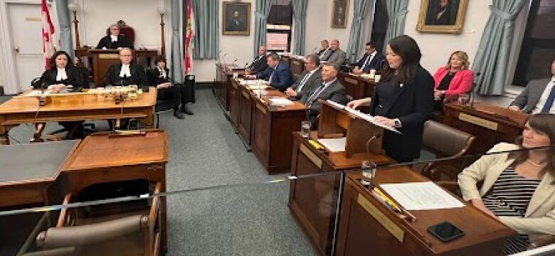 Woman in business suit stands in the legislature.