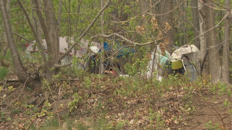 Several tents and possessions are shown in a wooded area in Halifax.