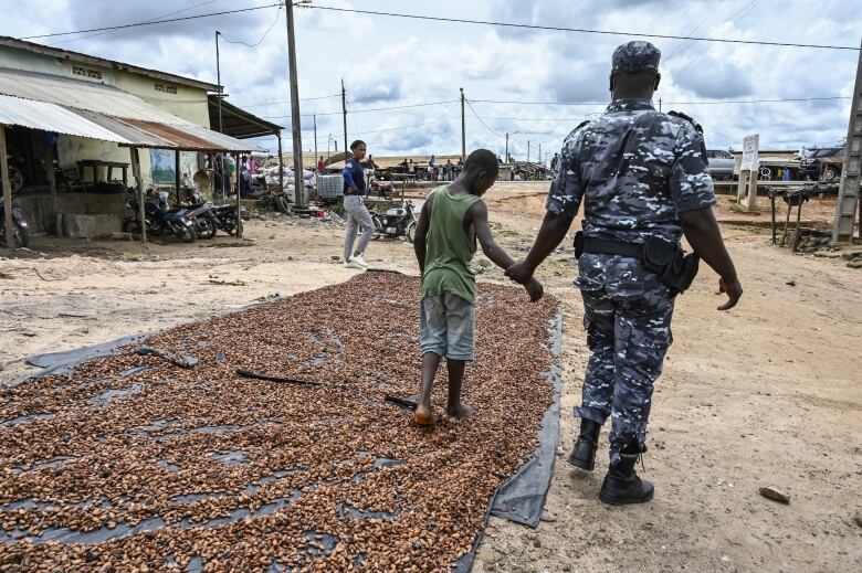 A man in fatigues holds a child by the arm as he walks over cocoa beans spread on a blanket to  dry. 