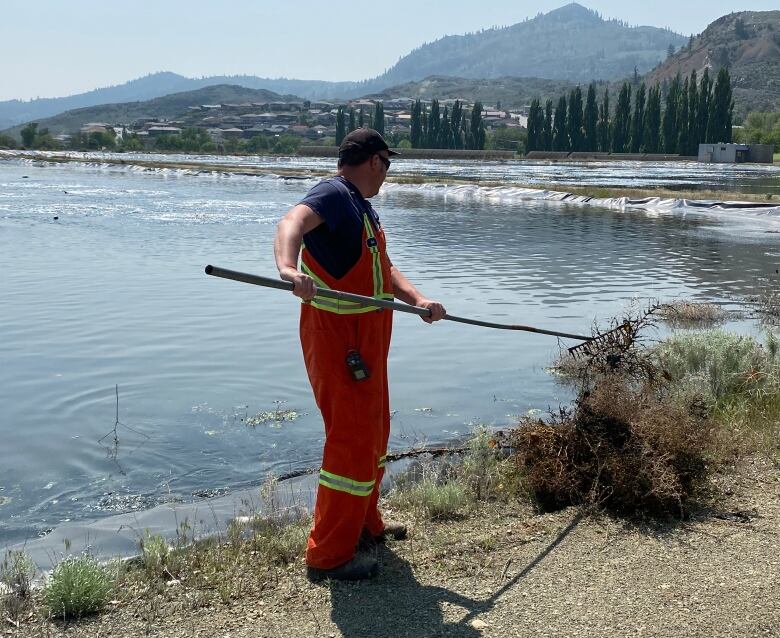 A municipal worker uses a rake to take debris out of a sewage lagoon