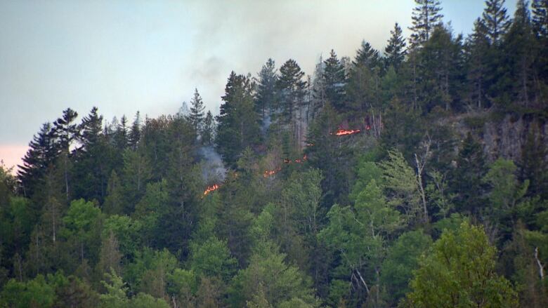 Flames and smoke rising from green woods