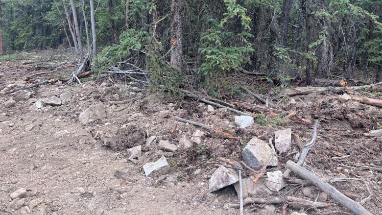 Displaced rock, tree limbs, and dirt along a trail.