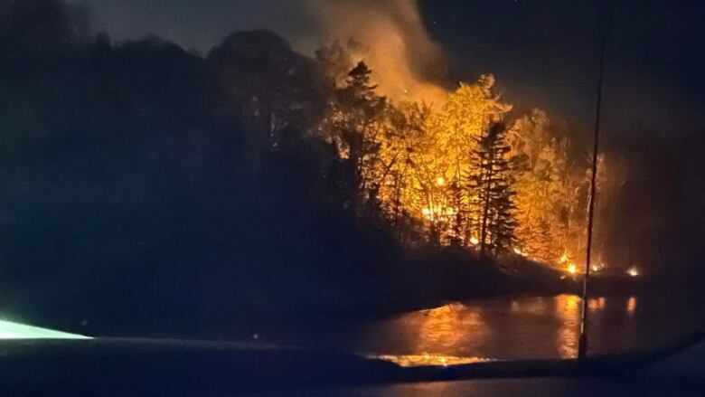 Forest fire flames light up the night sky.