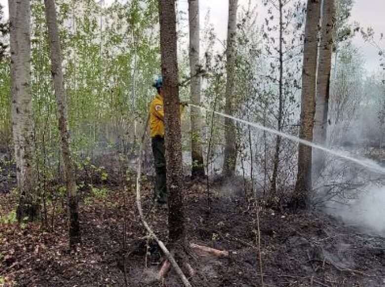 Firefighter sprays water from hose on smoky ground.