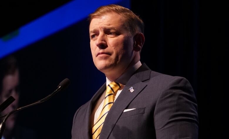 A man wearing a grey suit stands at a microphone. Behind him is a dimly lit stage. 