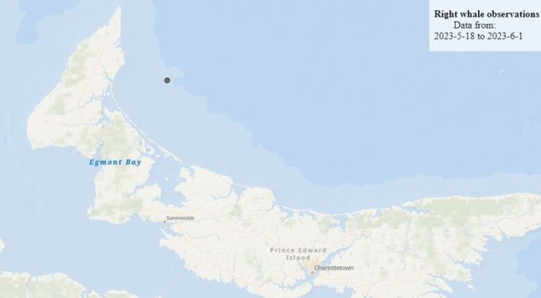 This map published by the Department of Fisheries and Oceans has a dot in the ocean to the east of Western P.E.I. showing where two right whales were spotted from the air on May 18. 