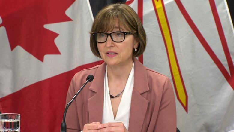 A woman wearing a pink jacket and glasses sitting at a desk with a microphone. Behind her are the Canadian and Newfoundland and Labrador flags. 