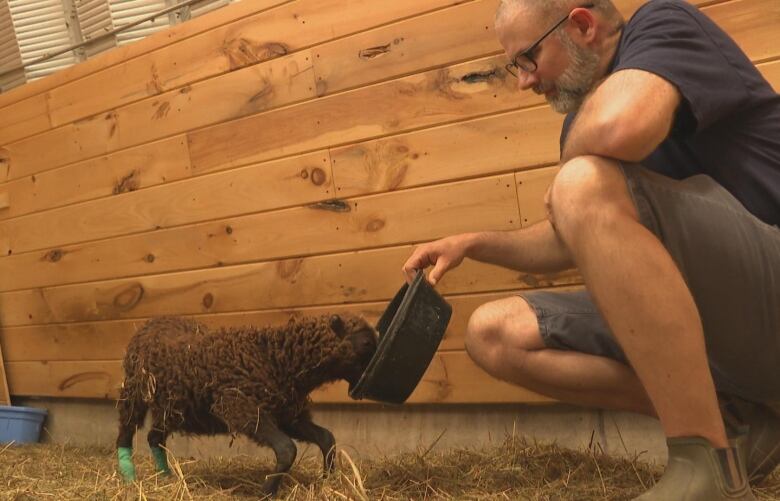 A man crouched down holding a black bowl in front of a tiny brown lamb