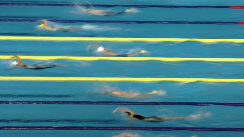 The picture shows a general view of swimmers competing in an event.