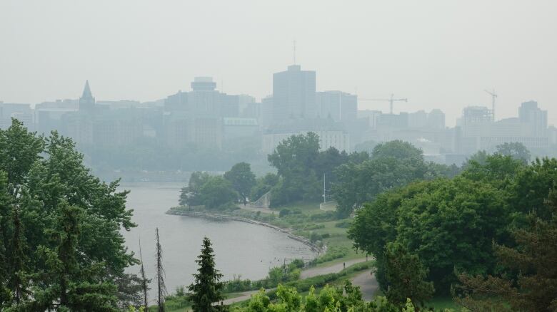 A city skyline