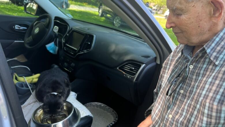 A man looks down at a cat drinking water out of a dish on the passenger seat of a vehicle.