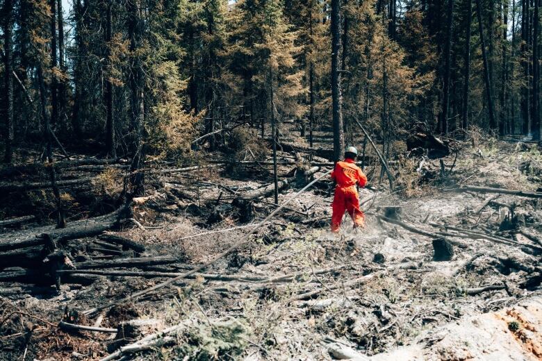 A firefighter sprays water on ash and blackened trees.