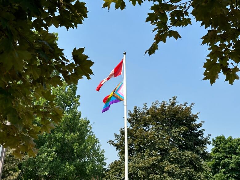 canada flag and rainbow flag flies on a flag poll 