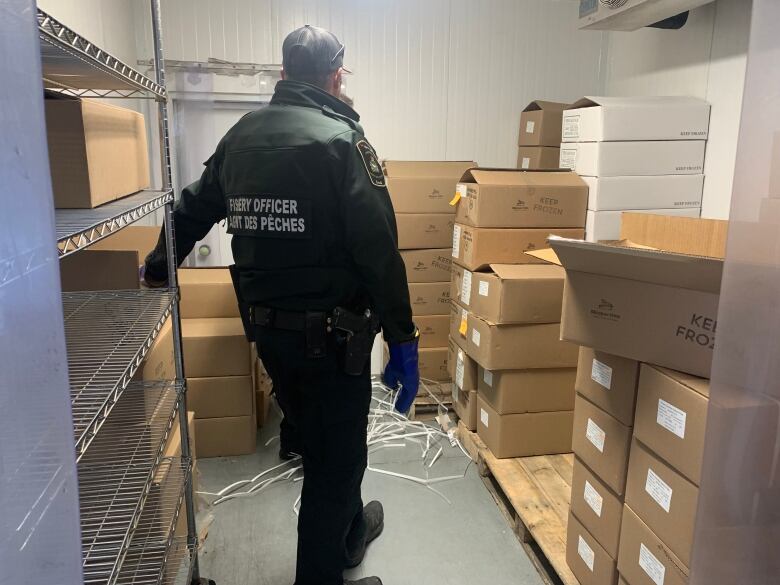 A fisheries officer stands inside a walk-in freezer among opened boxes containing seized product.