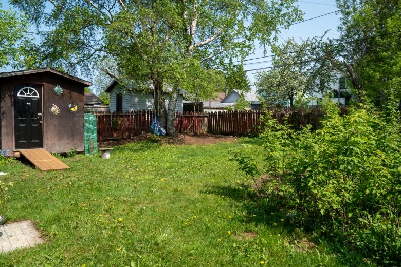 A backyard in the springtime.