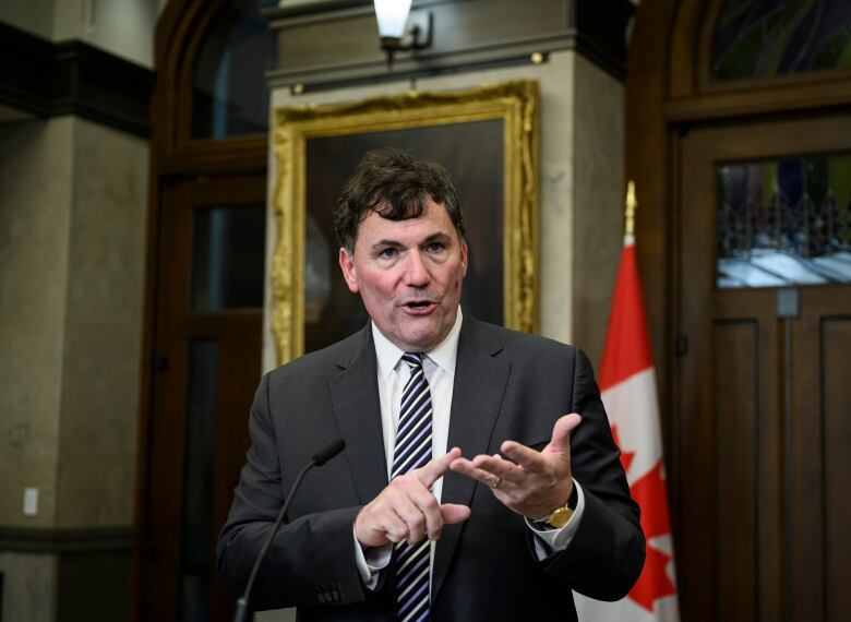 A man wearing a suit talks in front of a Canadian flag.