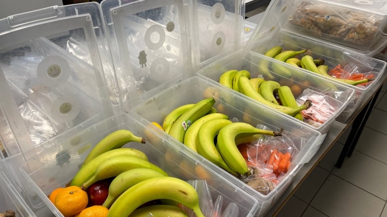 Boxes of food.