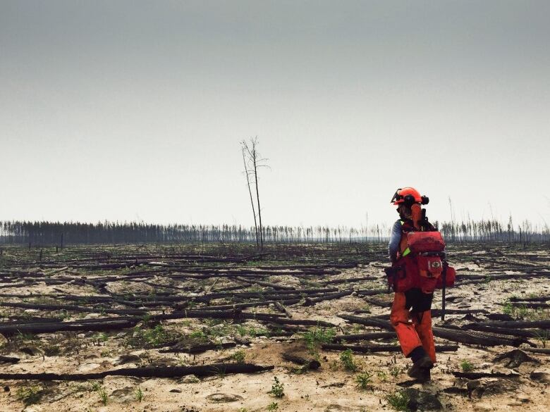 A team of researchers surveys a burned landscape in Wood Buffalo National Park in 2015, a year after the most major fire in a decade. 