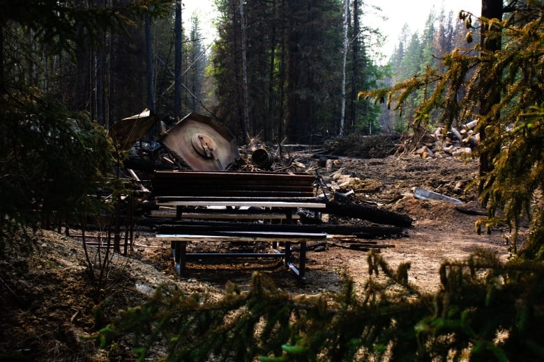 Charred remains of a storage shed are encircled by evergreen trees. 