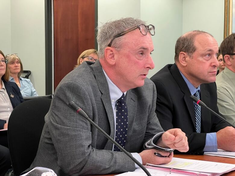 Nova Scotia's deputy public works minister Peter Hackett is shown Wednesday, June 14, 2023, at the legislature's public accounts committee.