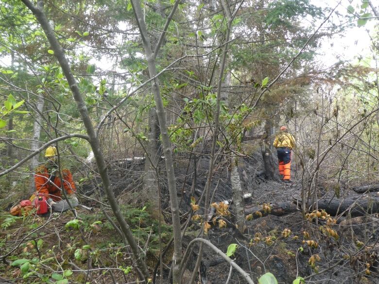 Forest and rocks with two firefighters, barely visible through the brush.